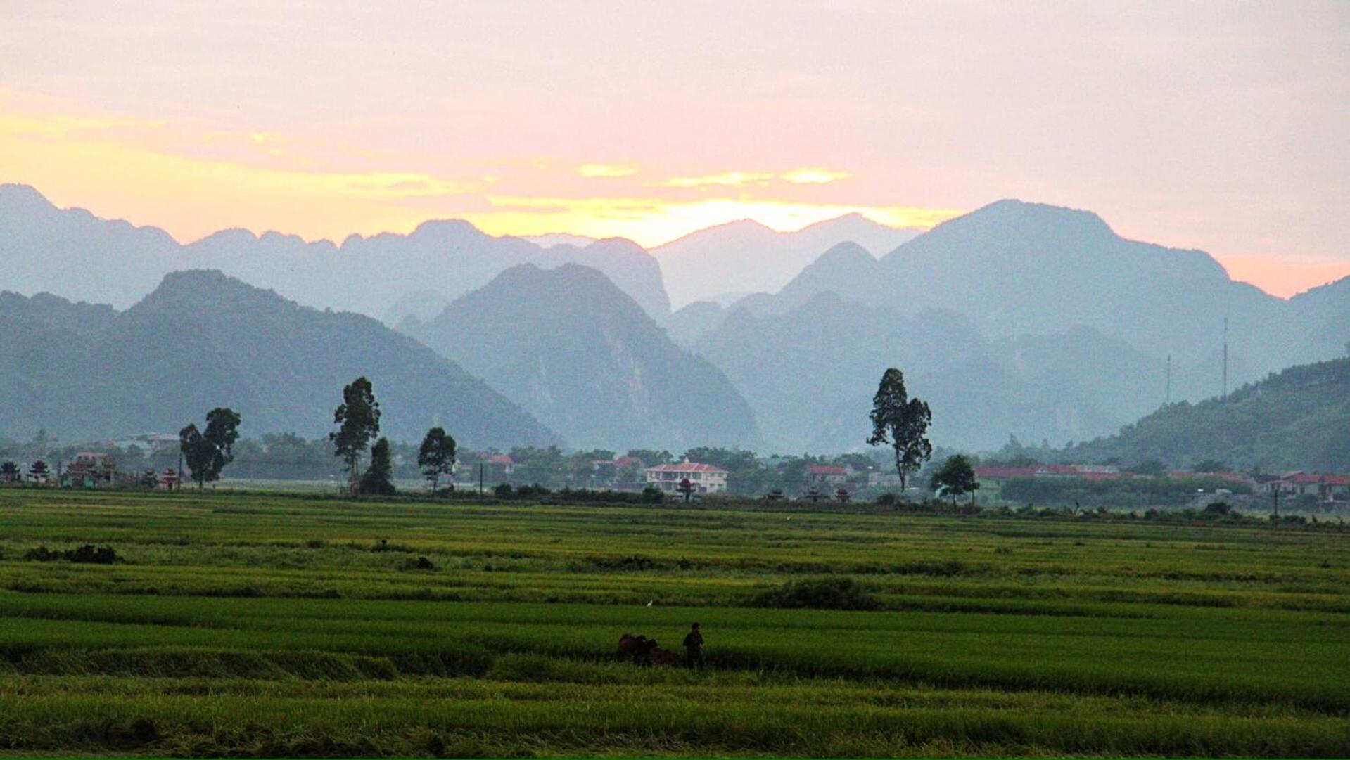 Palafita Bungalow Phong Nha Exterior foto